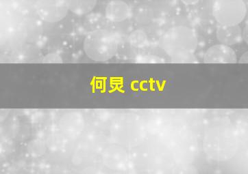 何炅 cctv